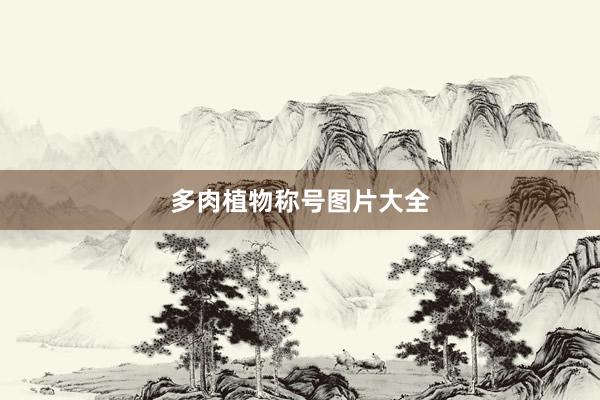 多肉植物称号图片大全